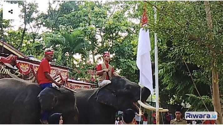 Gajah bernama Budi dan Valenti mengerek bendera merah putih mengikuti lagu Indonesia Raya